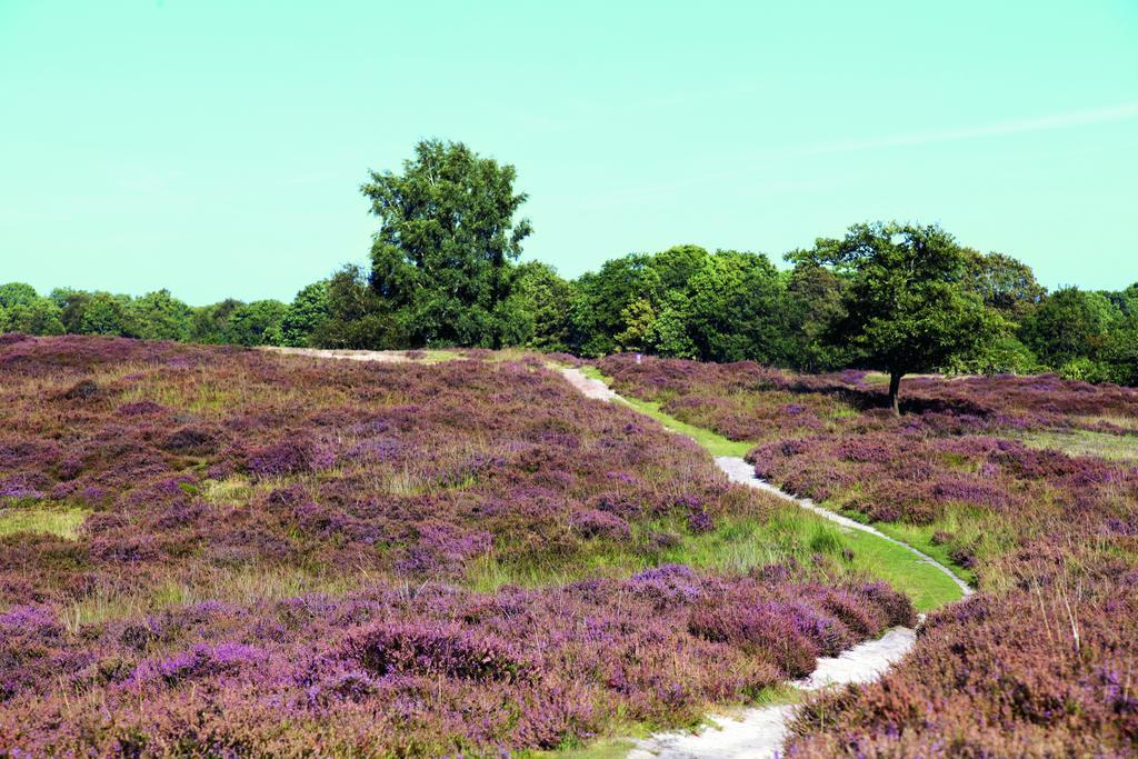 Villapark Akenveen Tynaarlo 외부 사진